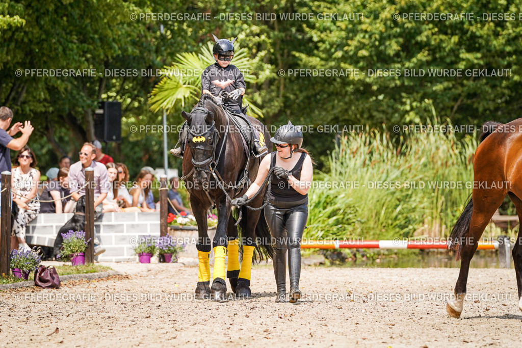 DSC03139 | Pferdegrafie