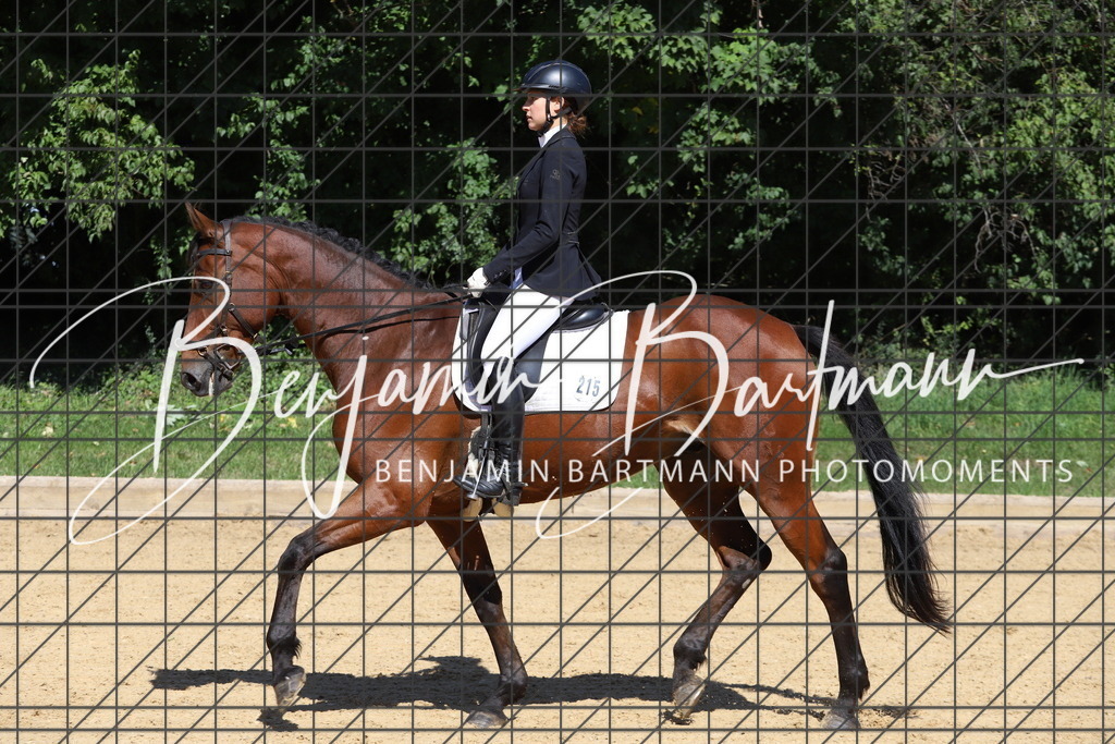 IMG_6082 | Benjamin Bartmann Photomoments