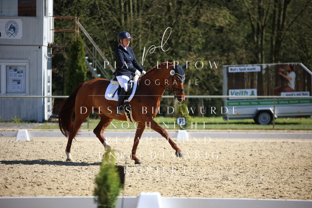 IMGT8251 | pl-fotografie