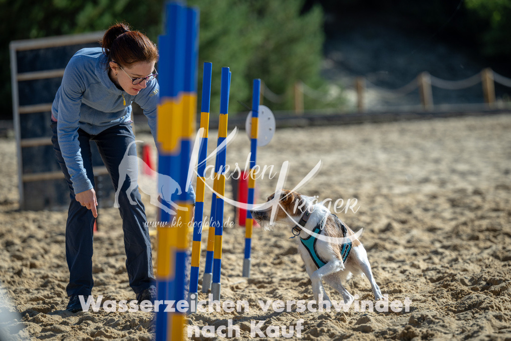 1222_ZZ92952-2 | kk-dogfotos