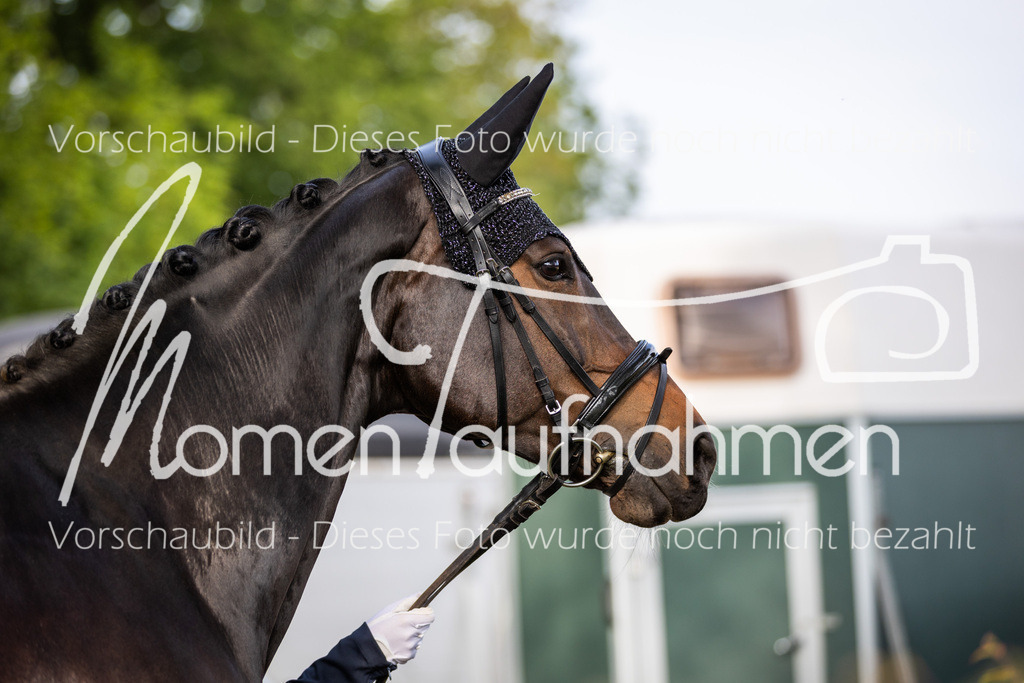 HH-Randmomente-005 | MomenTaufnahmen Pferdesportfotos