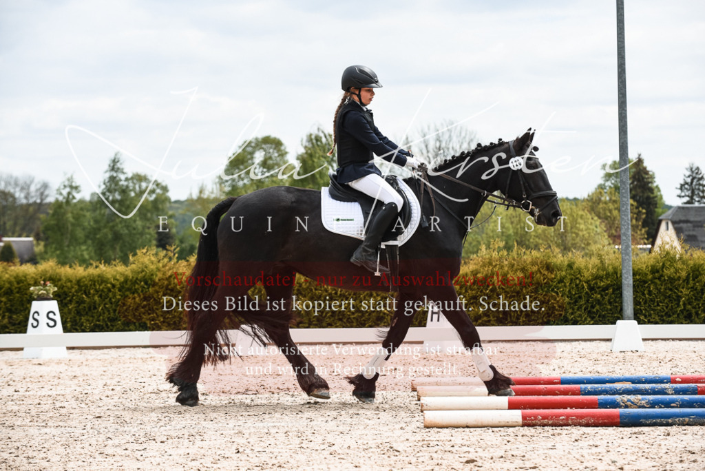 20230518_JK-Röhrsdorf-10-742 | Pferde- und Turnierfotografie in Westsachsen. Pferdeportraits, Auftragszeichnungen und intuitive Kunst.
