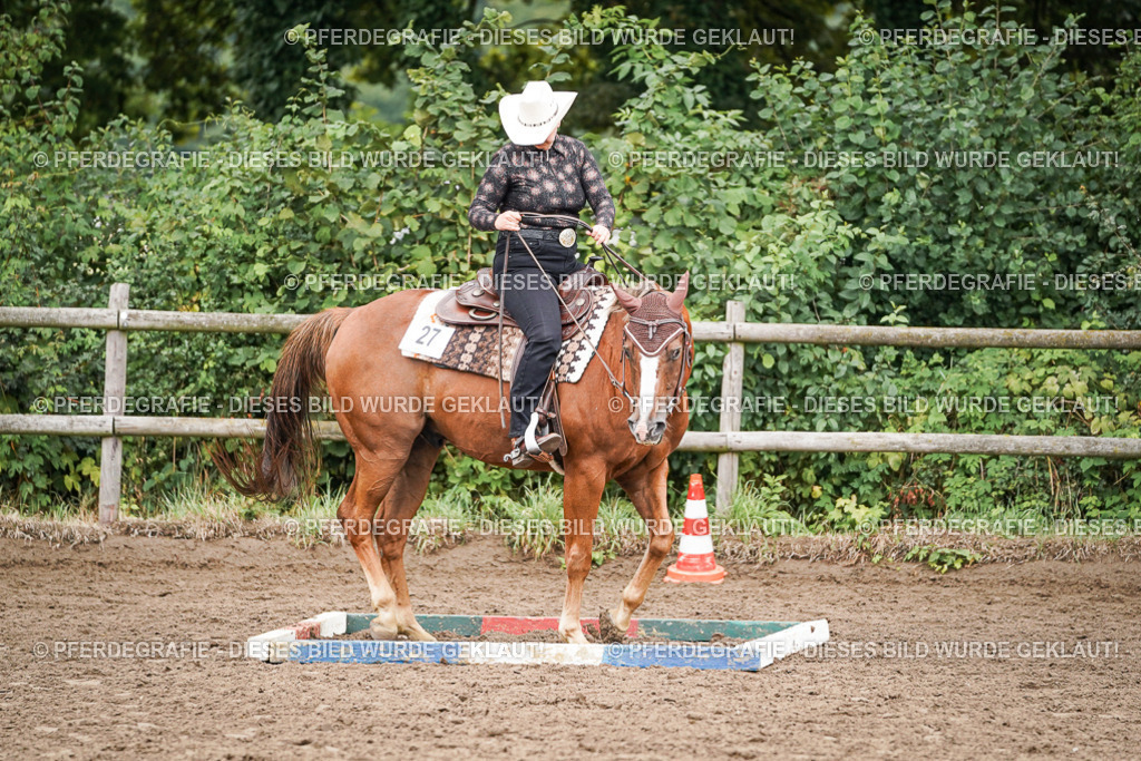 DSC03009 | Pferdegrafie