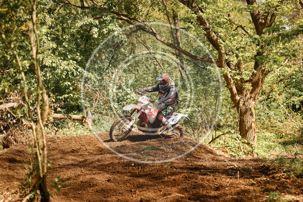 RottlebenIGE25_Lauf2-130 | koppe-media