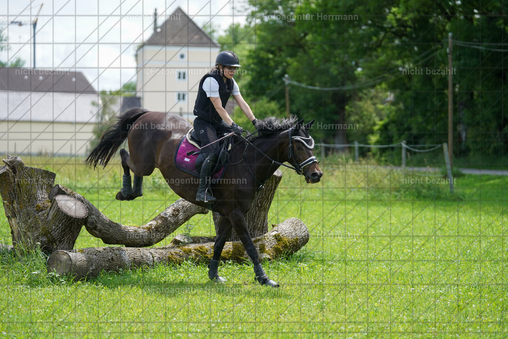 20240622-FAH07524 | Turnierfotografen Bayern, Reitsportbilder aus dem Geländekurs mit Felix Etzel auf dem Gut Waitzacker 2024