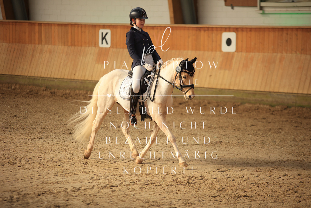 IMGT1517 | pl-fotografie