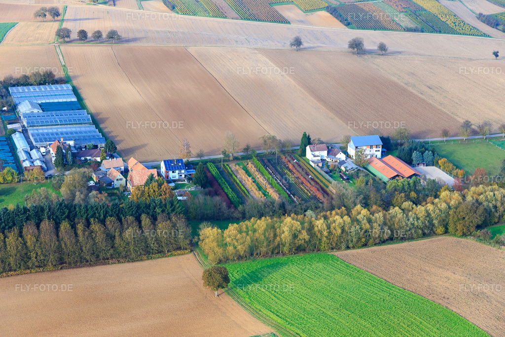 Luftbild: Gärtnerei in Vollmersweiler im Bundesland Rheinland-Pfalz in Deutschland. Foto: IMG_075857.jpg vom 02.11.2014 durch Werner Riehm/FLY-FOTO.de