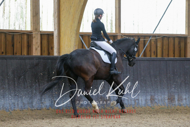 IMG_0495 | Turniersportfotografie; Pferdefotografie; Dressurfotografie