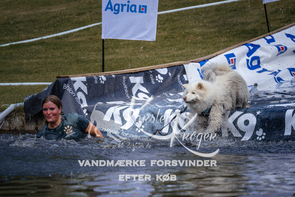 _ZZ904930900 | kk-dogfotos