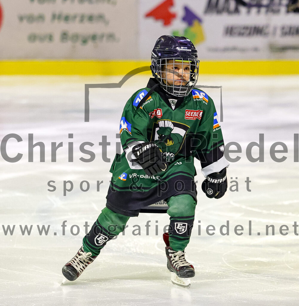 2026-01-18_056_TSV_Erding_gegen_Selber_Woelfe | Erding, Deutschland, 18.01.2026:Eishockey, Oberliga Süd 2025 / 2026, 38. Spieltag, TSV Erding gegen Selber Wölfe, Endergebnis: 2:3 n.V.Foto: Christian Riedel / fotografie-riedel.net