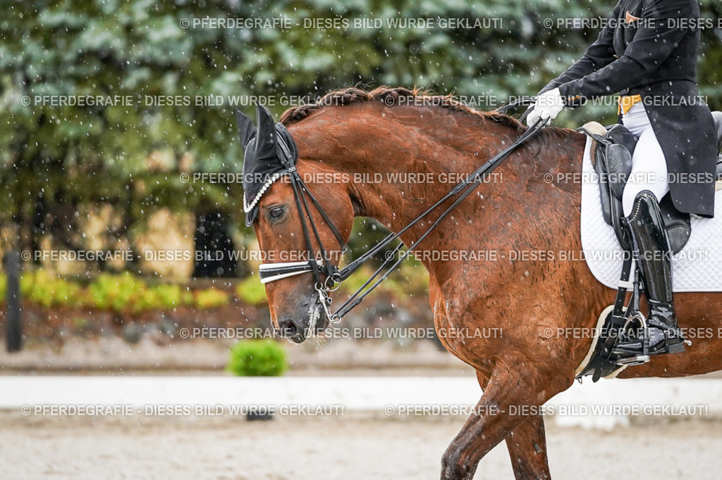 DSC09077 | Pferdegrafie