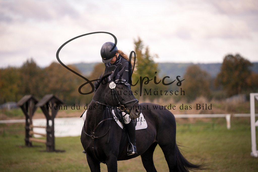 A7V06471 | Pferdefotograf