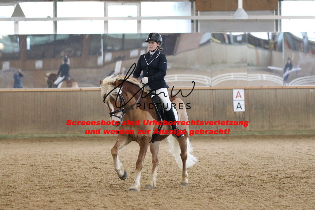 IMG_6458 | lmwpictures - Realisiert mit Pictrs.com