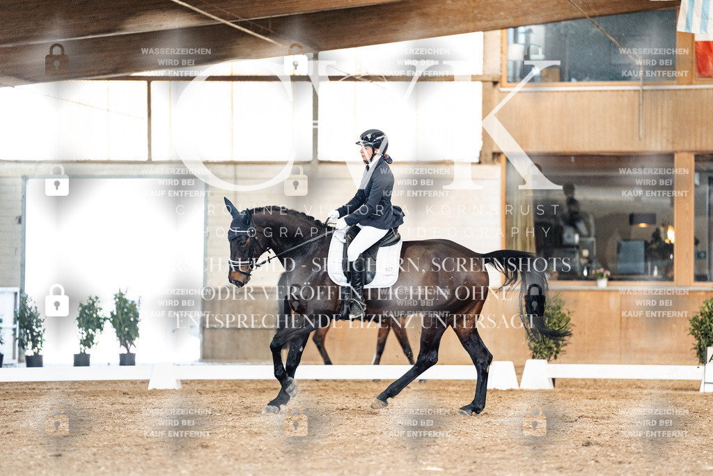 CK901388 | Turnierfotografie Pferdefotografie Trier Rheinland-Pfalz Pferdesport Reitsport Tierfotografie Sportfotografie Pferdevideo Pferdevideografie Equestrianvideography equestrianphotography  - Realisiert mit Pictrs.com
