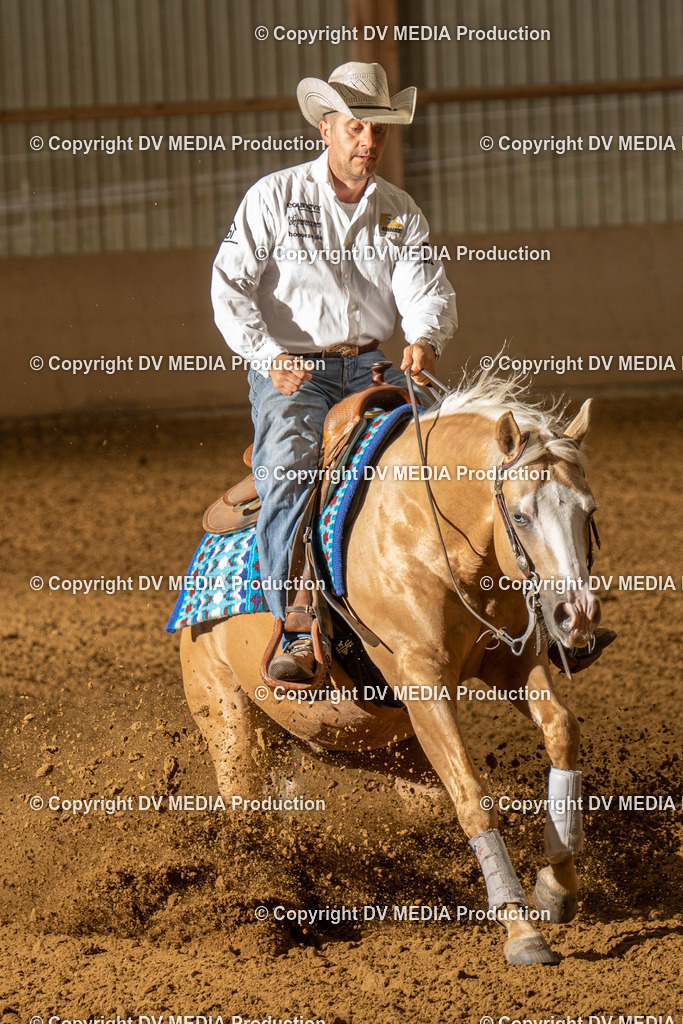 LAU01317 | dv-media-shop - Realisiert mit Pictrs.com