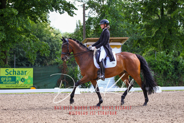 DKP41383 | Turnierfotos kaufen im Webshop von Daniel Kuhl Photography – entdecke professionelle Reitsportfotos aus Turnieren & Events. Hochwertige Turnierbilder online bestellen & sichern. Jetzt Fotos von Reitsportturnieren kaufen!
