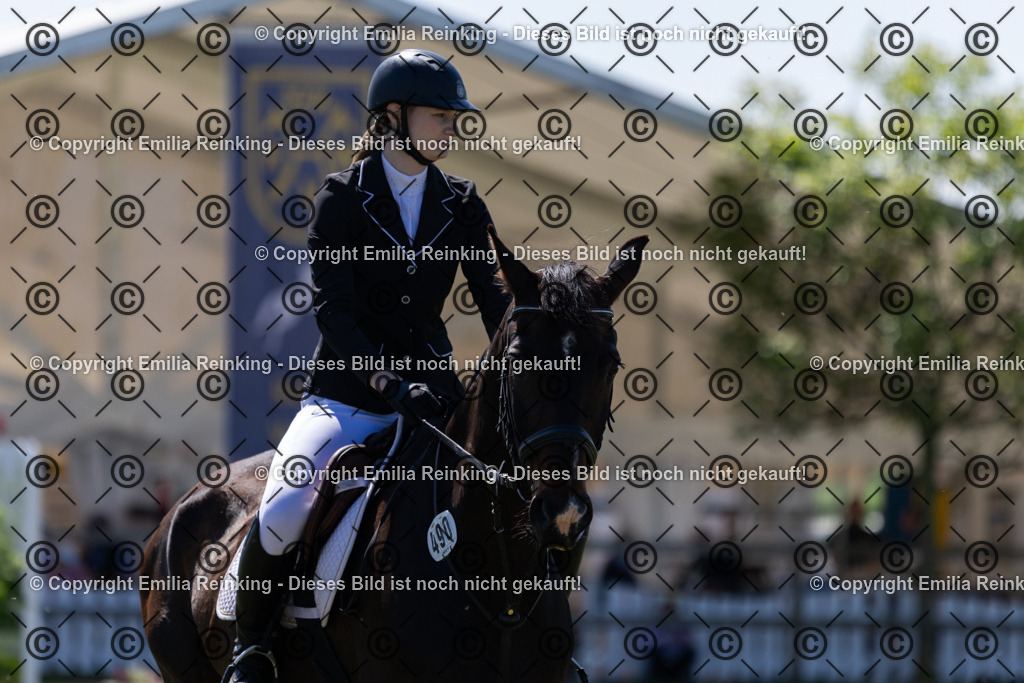 CL5A0990 | Emilia Reinking Fotografie - Realisiert mit Pictrs.com