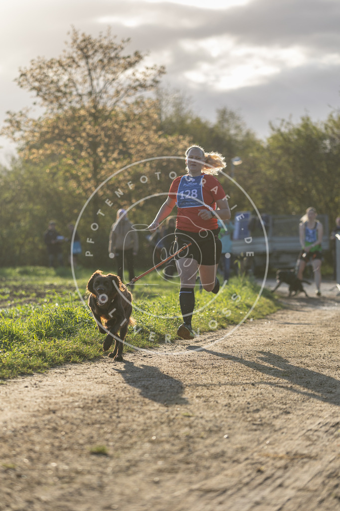 Pfotenfotografie.de_DV3A2927 | Hundefotografie, Tierfotograf, Pfotenfotografie, Fotoshooting Hund, Hunde Portrait, Hundesport, Hundeportraits, Heideshooting, Hunde, Sportfotograf, Hundefotograf, Turnierhundsport, THS, canicross - Realisiert mit Pictrs.com