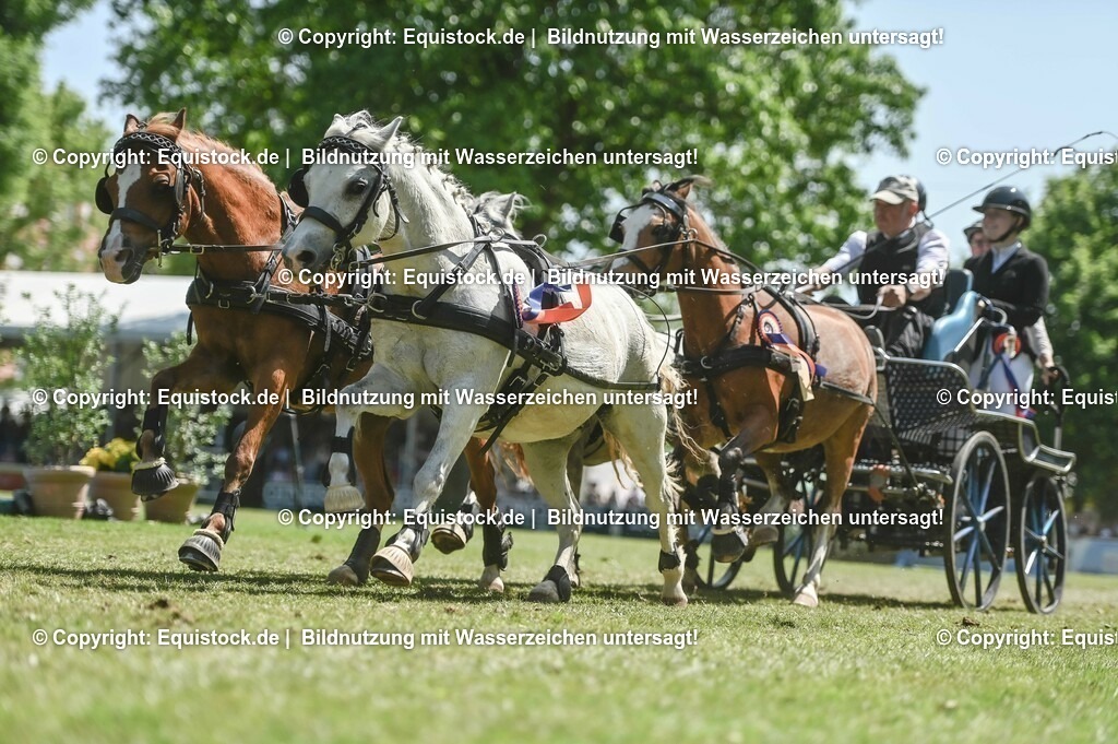 20230528_Jump-and-Drive_0286 | equistock