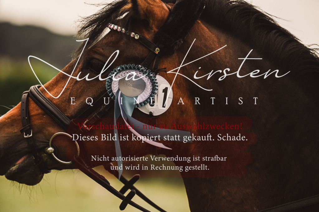 DSC_7019 | Pferde- und Turnierfotografie in Westsachsen. Pferdeportraits, Auftragszeichnungen und intuitive Kunst.