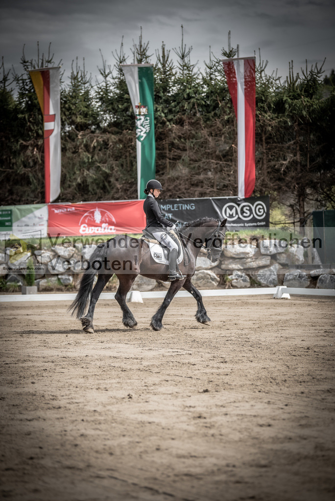 DSC_9172 | equestrian-live-com