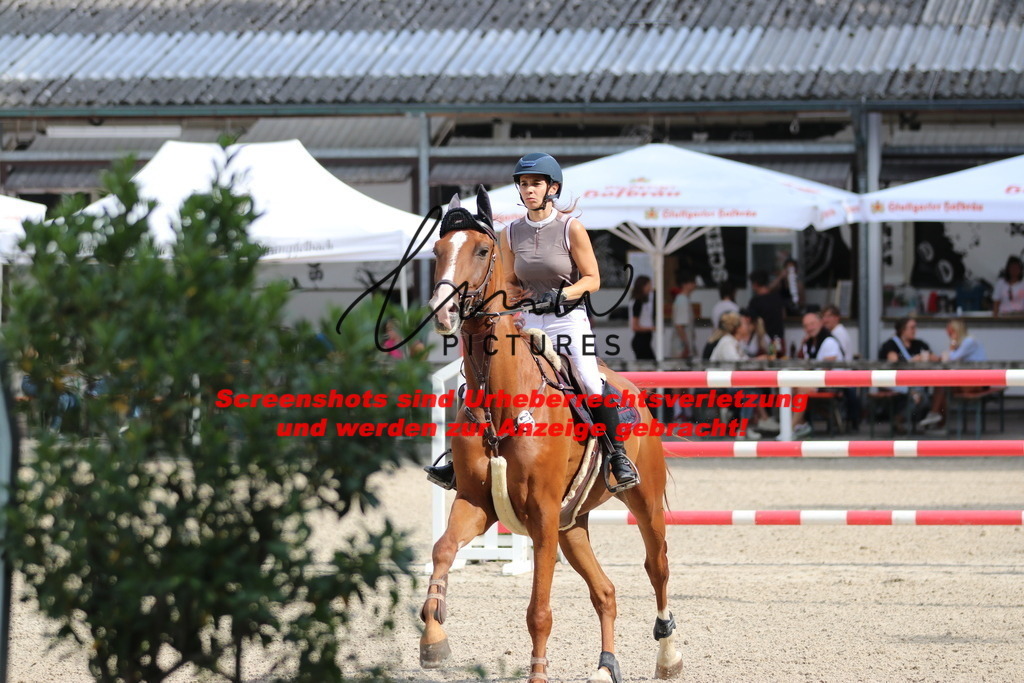 IMG_0743 | lmwpictures - Realisiert mit Pictrs.com