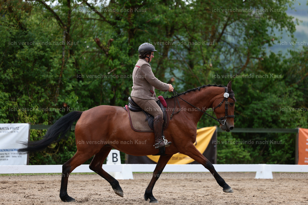 KlasseL_Stoibphotography_CAM21230.JPG | working equitationturnier fotograf videograf stoibphotography marixx film working equitation deutschland reitsport turnierfotografie eventfotografie equestrian events