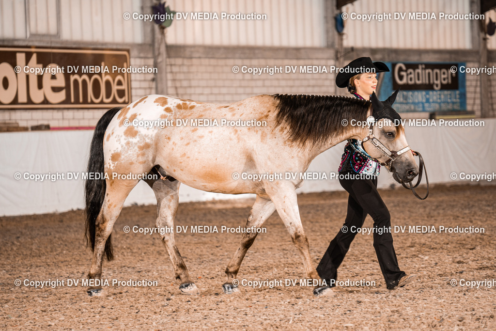 ZH100220 | dv-media-shop - Realisiert mit Pictrs.com