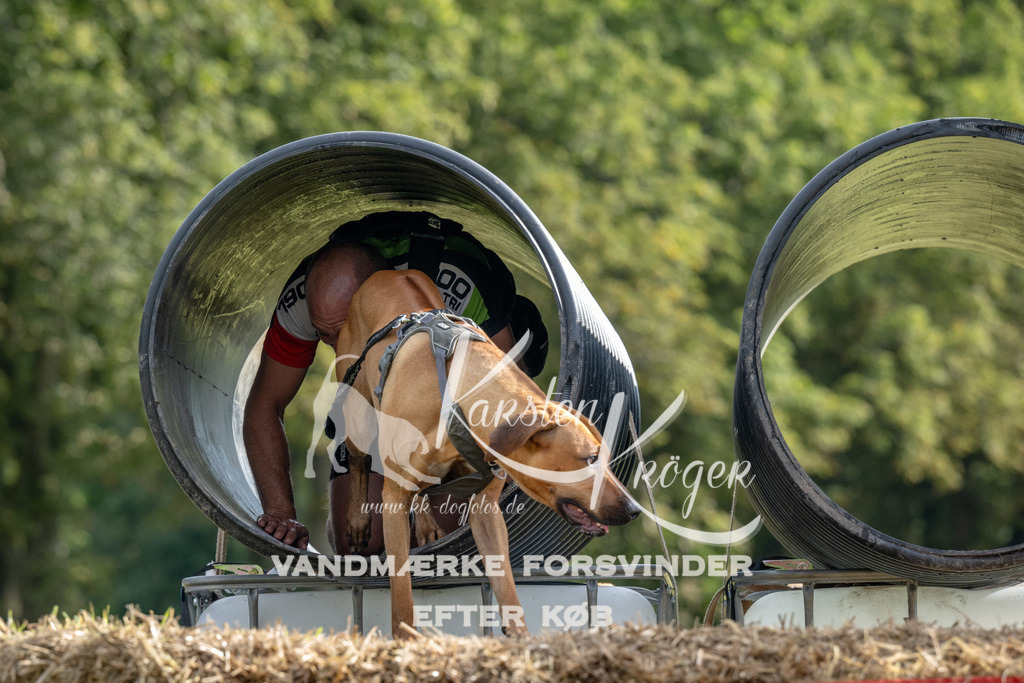 0930_ZZ90514 | kk-dogfotos
