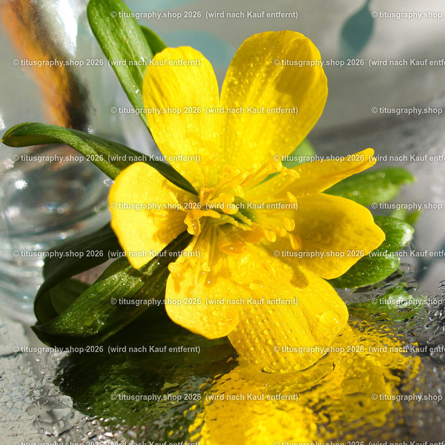 P3034803_edited | Fotokunstarbeit aus der INSTAGRAM-Gallerie auf titusgraphy.eu - Realisiert mit Pictrs.com