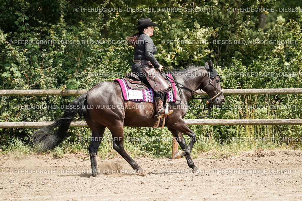 DSC09354 | Pferdegrafie