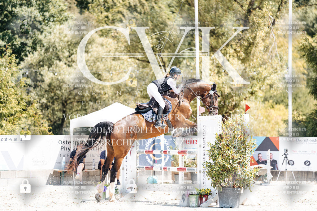 CK900357 | Turnierfotografie Pferdefotografie Trier Rheinland-Pfalz Pferdesport Reitsport Tierfotografie Sportfotografie Pferdevideo Pferdevideografie Equestrianvideography equestrianphotography  - Realisiert mit Pictrs.com