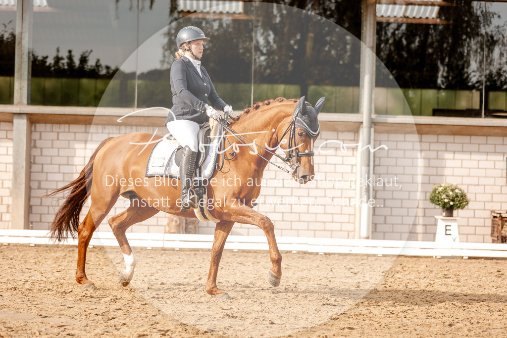 3I6A2808 | Stimmungsvolle Portraits und Reitsportfotografie im Ruhrgebiet und im Münsterland.

Pferdefotografie, Hundefotografie, Tierfotografie, Reportagen, Portraits von Tier und Mensch, Turnierfotografie in Bochum, Recklinghausen, Marl, Haltern am See, Dülmen.. - Realisiert mit Pictrs.com