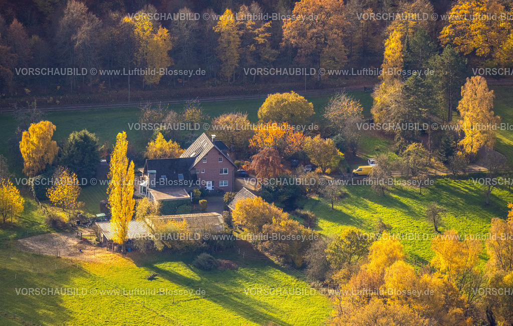 Herdecke251104621 | Luftbild, Wohnhaus Straße Kemnade, herbstliche Bäume, Westende, Herdecke, Ruhrgebiet, Nordrhein-Westfalen, Deutschland