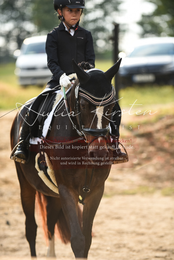 DSC_3464 | Pferde- und Turnierfotografie in Westsachsen. Pferdeportraits, Auftragszeichnungen und intuitive Kunst.