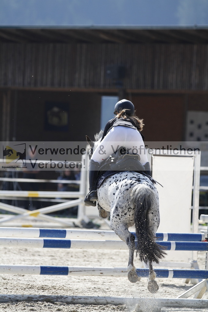 _MG_3462 | equestrian-live-com