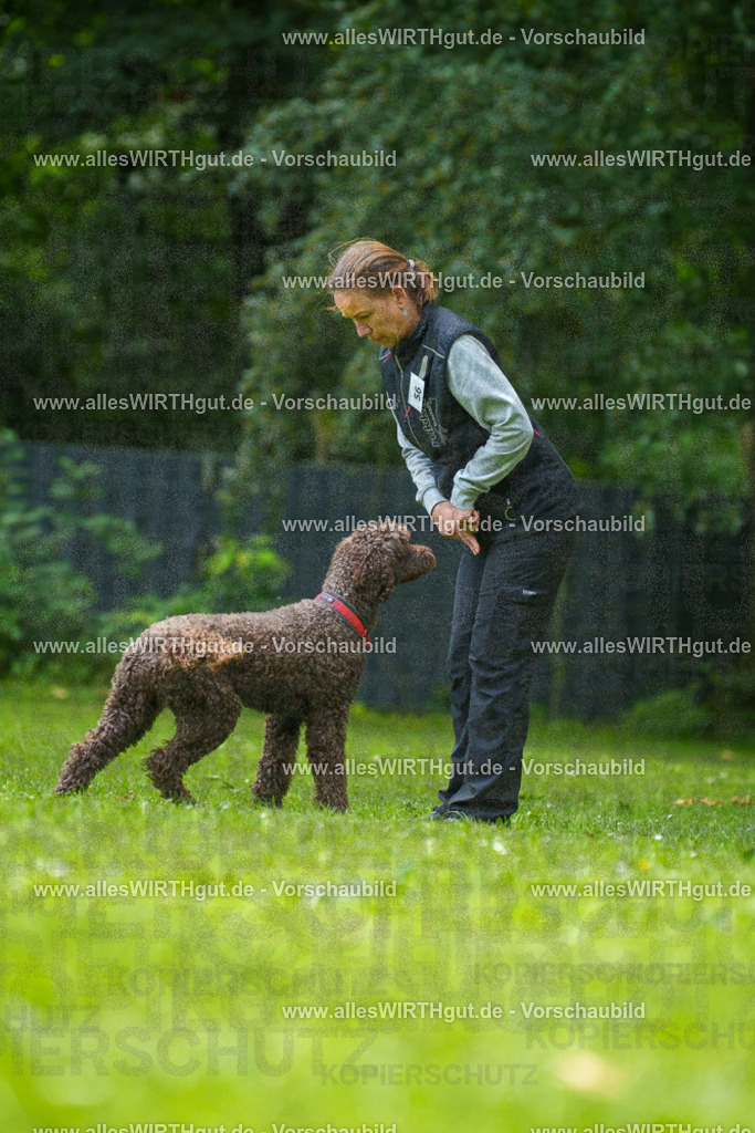 @allesWIRTHgut_Tierfotografie - www.allesWIRTHgut.de - 7R501077 | Professionelle Tierfotografie in Mönchengladbach von Daniel Wirth (allesWIRTHgut). Liebevolle & natürliche Bilder von Hunden & Katzen für unvergessliche Erinnerungen.