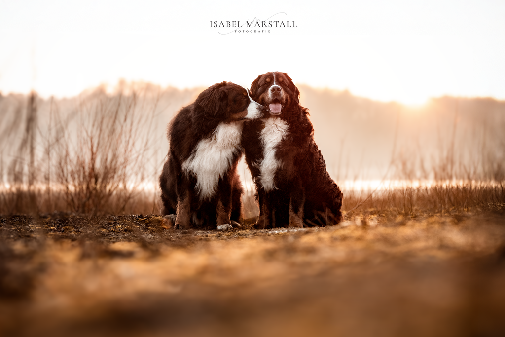 IM_08378_Web | Isabel Marstall Fotografie - Realisiert mit Pictrs.com