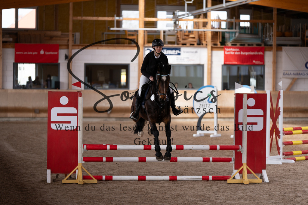 A7507371 | Pferdefotograf