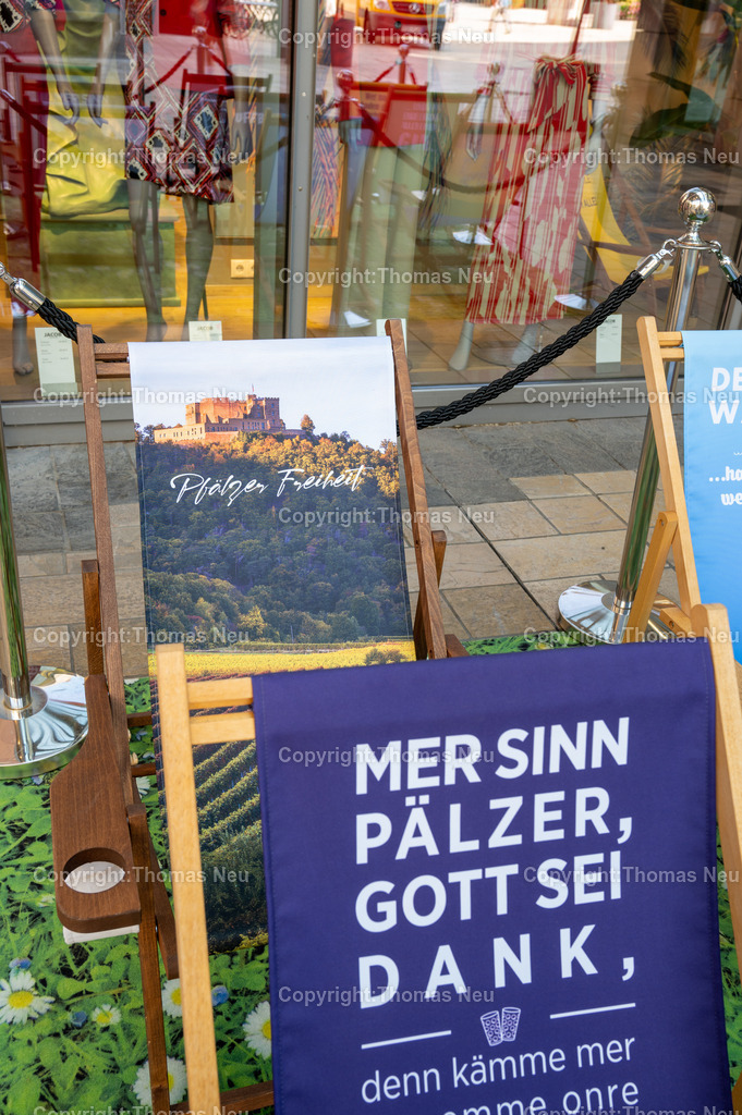 DSC_5145 | Neustadt an der Weinstraße