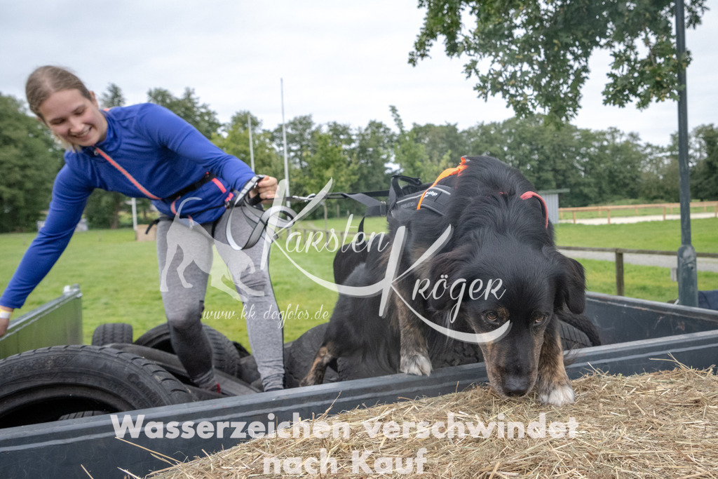 1229_ZZ90932 | kk-dogfotos