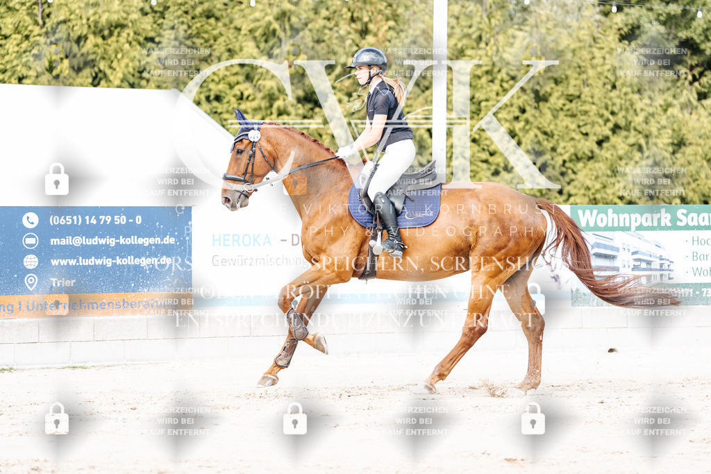 CK908985 | Turnierfotografie Pferdefotografie Trier Rheinland-Pfalz Pferdesport Reitsport Tierfotografie Sportfotografie Pferdevideo Pferdevideografie Equestrianvideography equestrianphotography  - Realisiert mit Pictrs.com