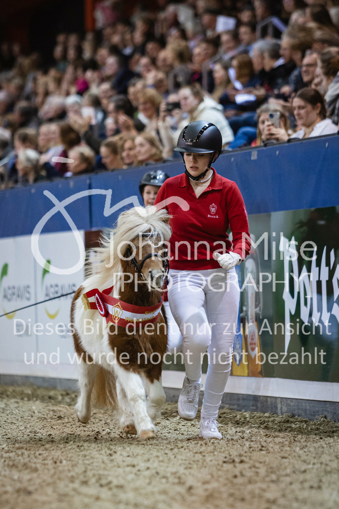 250108_Muenster_Hengstpräsentation-103 | Deine schönsten Turniermomente als professionelle Fotos! Entdecke hochwertige Pferdesport-Fotografie im Online-Shop. Jetzt Fotos finden & bestellen!