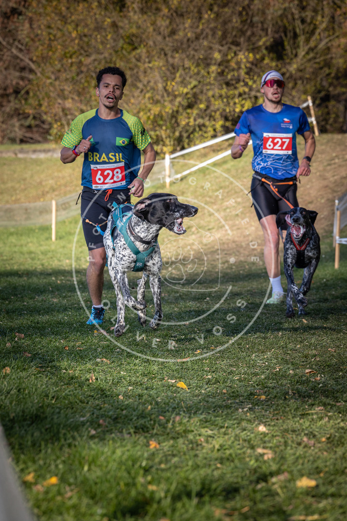CaniXpix_0L8A8843 | Hundefotografie, Tierfotograf, Pfotenfotografie, Fotoshooting Hund, Hunde Portrait, Hundesport, Hundeportraits, Heideshooting, Hunde, Sportfotograf, Hundefotograf, Turnierhundsport, THS,  - Realisiert mit Pictrs.com