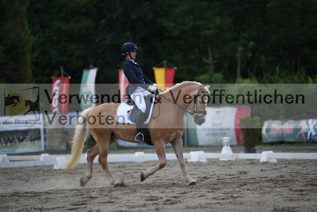 DSC_6622 | equestrian-live-com