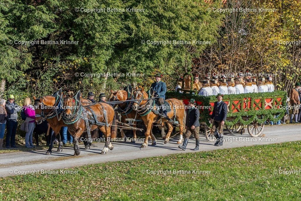 LBT25-772 | foto-bettina-krinner - Realisiert mit Pictrs.com
