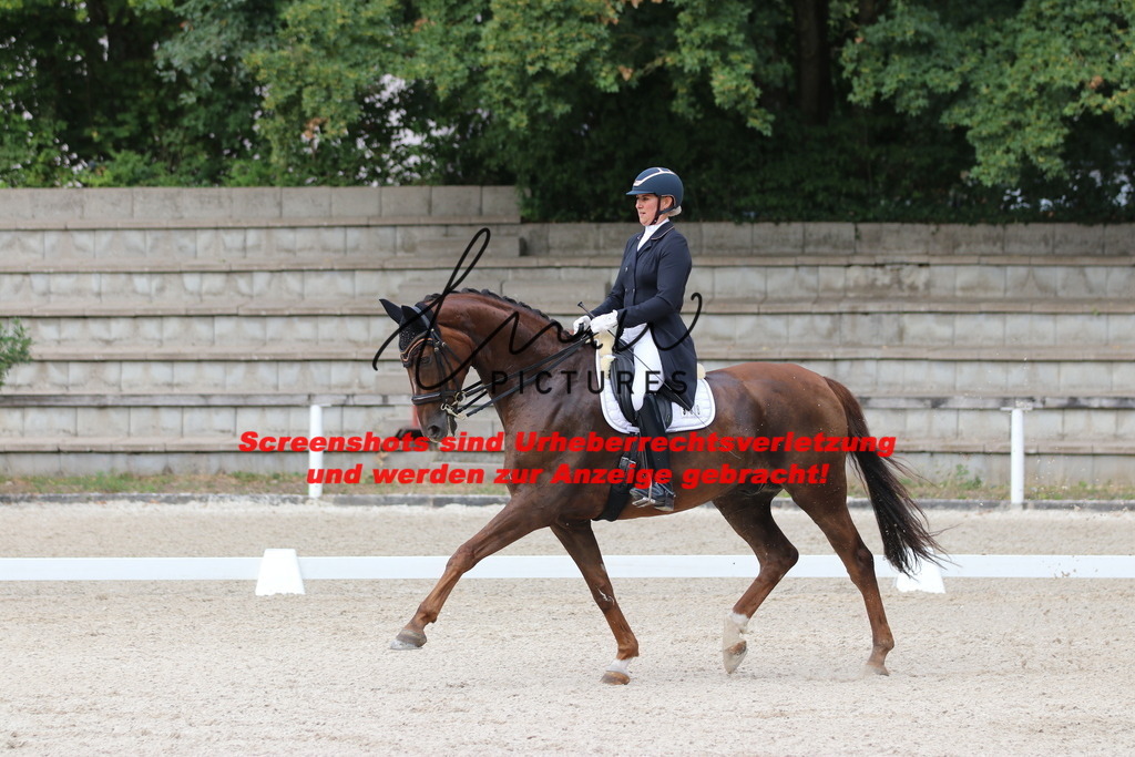 IMG_6574 | lmwpictures - Realisiert mit Pictrs.com