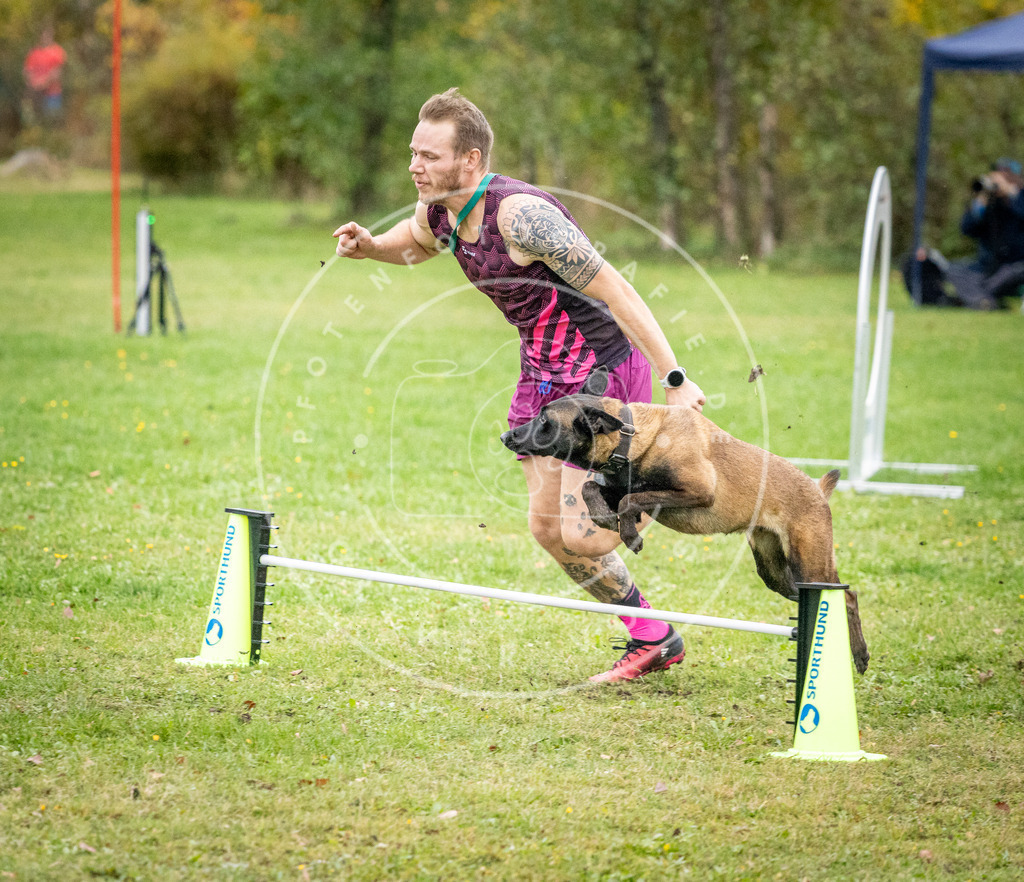 Pfotenfotografie_DV3A0816 | Hundefotografie, Tierfotograf, Pfotenfotografie, Fotoshooting Hund, Hunde Portrait, Hundesport, Hundeportraits, Heideshooting, Hunde, Sportfotograf, Hundefotograf, Turnierhundsport, THS,  - Realisiert mit Pictrs.com
