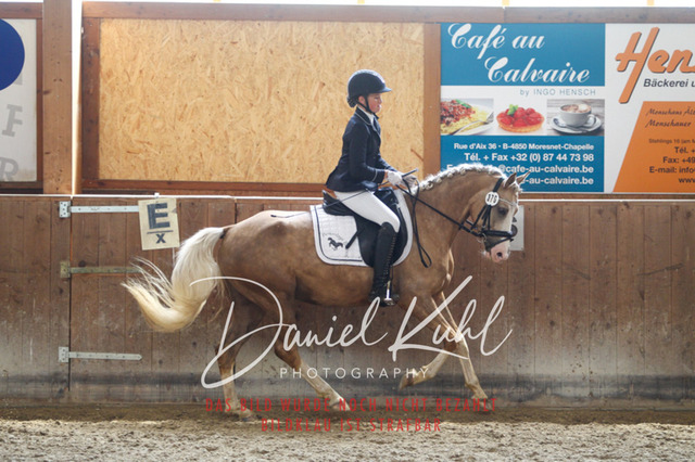 DKP45366 | Turniersportfotografie; Pferdefotografie; Dressurfotografie