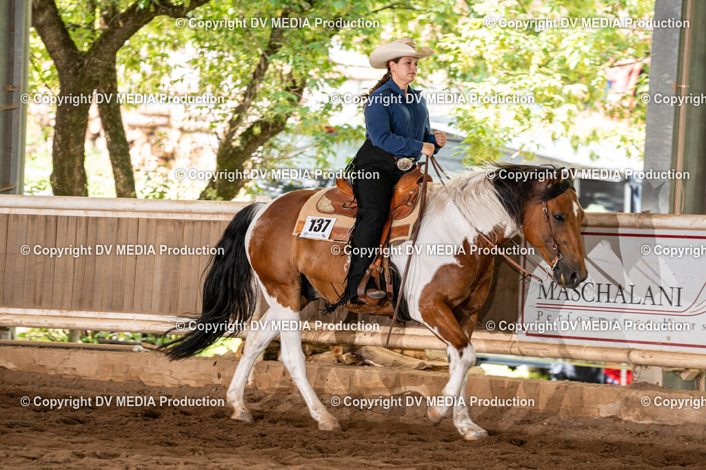 Erbach Tag 1-705 | dv-media-shop - Realisiert mit Pictrs.com